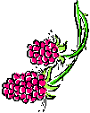 berries1.wmf (31964 bytes)